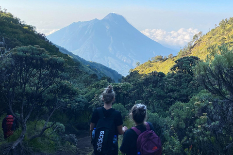 From Yogyakarta or Semarang: 2-Day Mount Merbabu Hiking Tour 2D Mount Merbabu Hiking Tour From Semarang