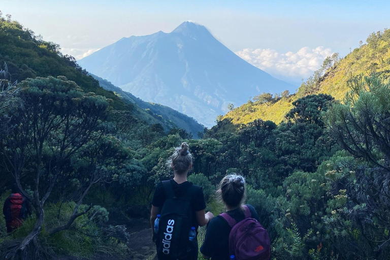 From Yogyakarta or Semarang: 2-Day Mount Merbabu Hiking Tour 2D Mount Merbabu Hiking Tour From Semarang