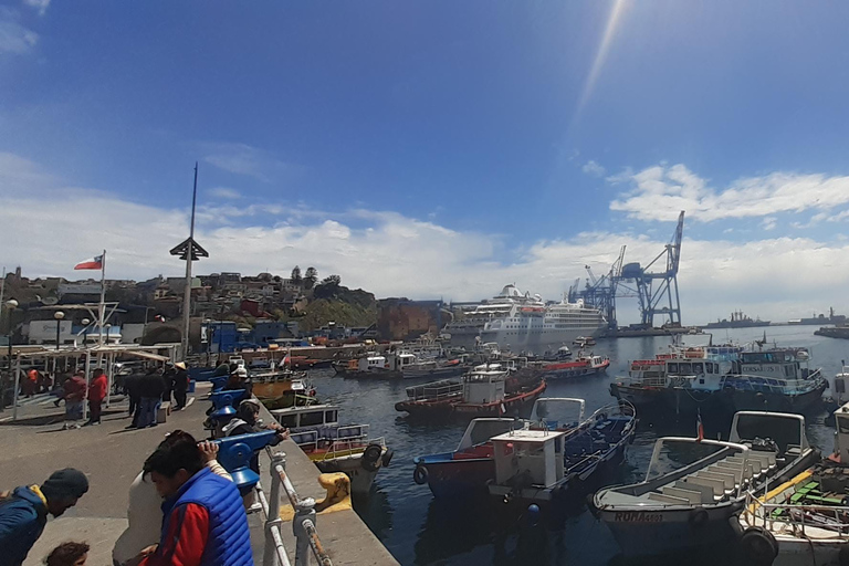 比尼亚德尔马、雷尼亚卡和康康之旅