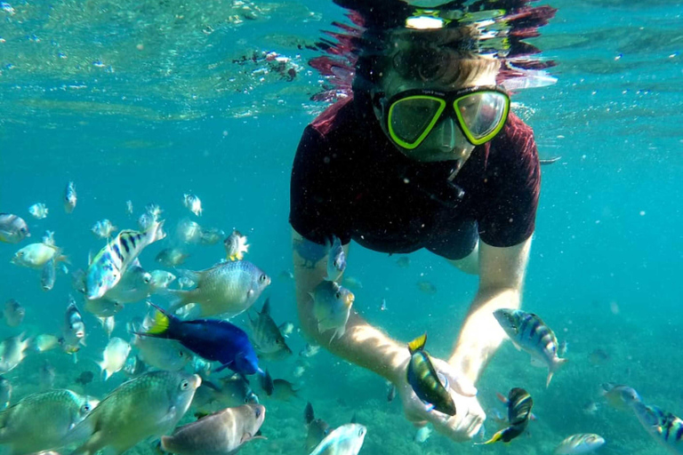 Lombok: Gili Nanggu, Sudak i Kedis - prywatna wycieczka snorkelingowaPrywatna wycieczka Snorkeling Tour (z miejscem zbiórki)