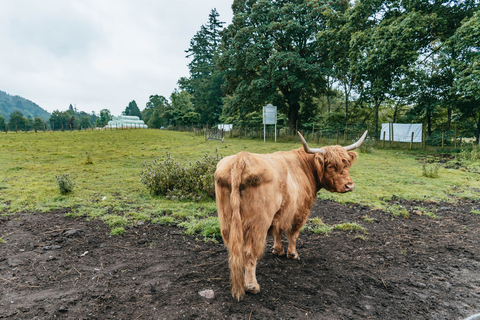 Från Edinburgh: Dagstur till Loch Ness, Glenoce och högländerna