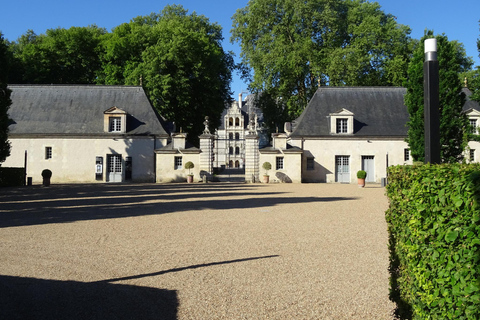 Castillo de Azay-le-Rideau: Tour privado guiado con ticket de entrada