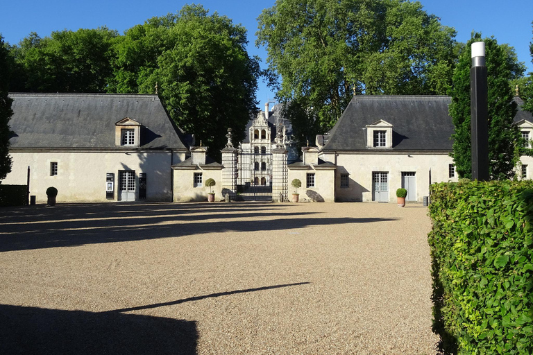 Château d&#039;Azay-le-Rideau : Visite guidée privée avec billet d&#039;entrée