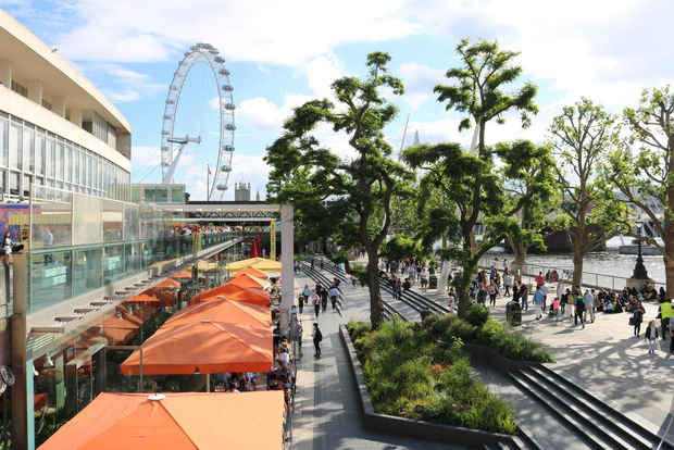 London: South Bank Privat tur med höjdpunkter