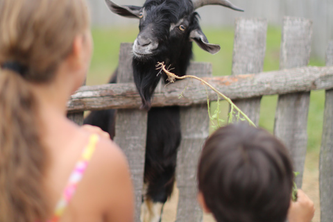 Plymouth: Plimoth Patuxet Museums - 3 tickets available ALL: Plimoth Patuxet, Mayflower and the Plimoth Grist Mill