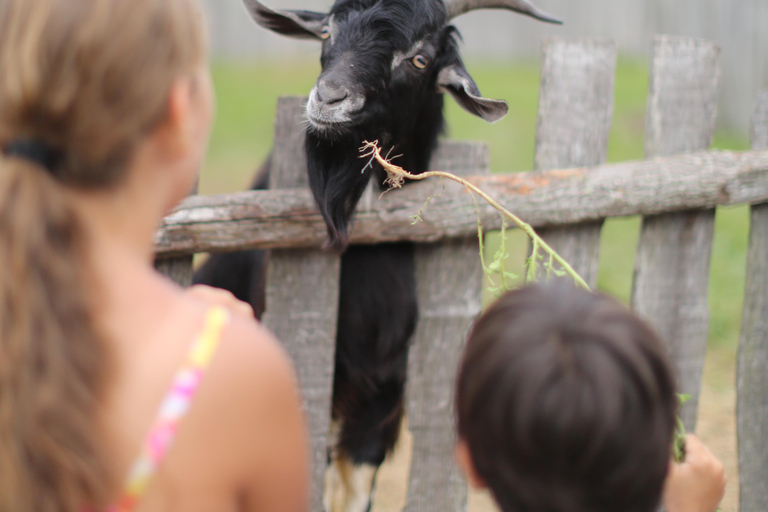 Plymouth: Plimoth Patuxet Museums - 3 tickets available ALL: Plimoth Patuxet, Mayflower and the Plimoth Grist Mill