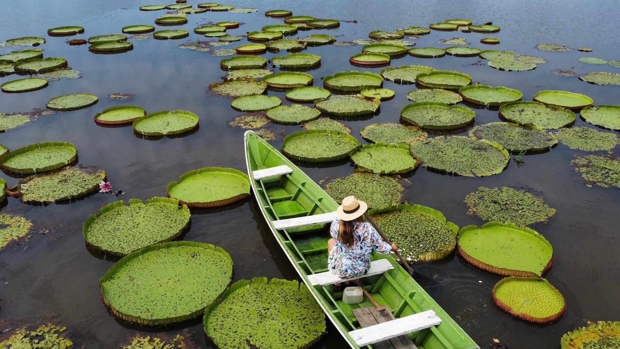 Alter do Chão: Tagestour zu den Highlights des Amazonas