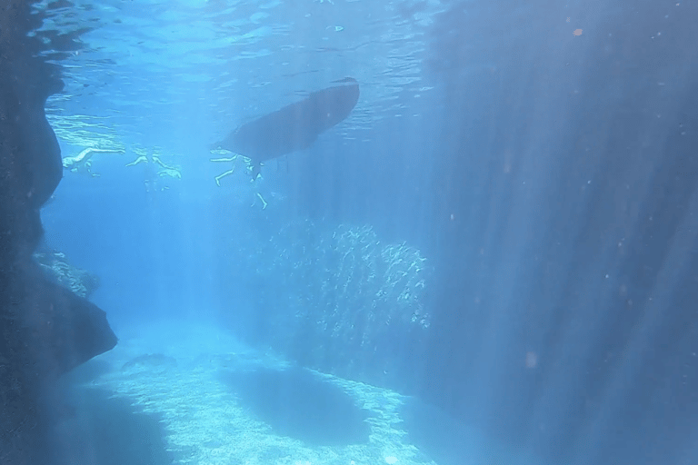 Puerto de Sóller: Excursión de snorkel con guía profesionalVisita matinal