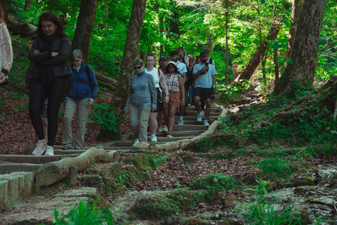 Zadar : Visite guidée des lacs de Plitvice avec billets