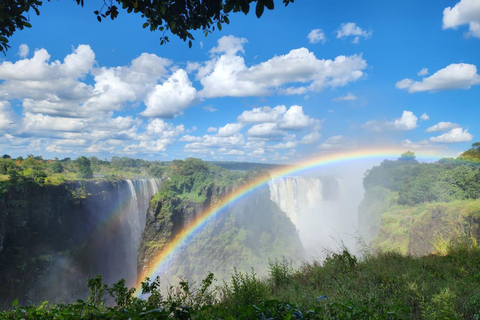 Experience Victoria Falls with an Expert Guide