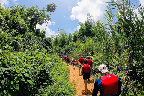 San Juan: El Yunque Rainforest en Bio Bay Combo Tour