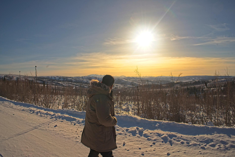 Visite d&#039;une jounée du cercle arctique