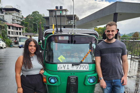 Kandy: Guided City Tour/Temple of the Tooth & Tea Factory