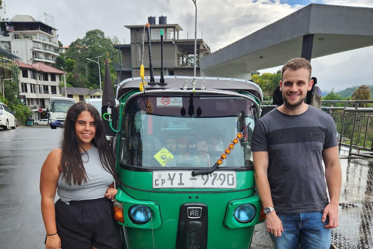Kandy: Guided City Tour/Temple of the Tooth & Tea Factory
