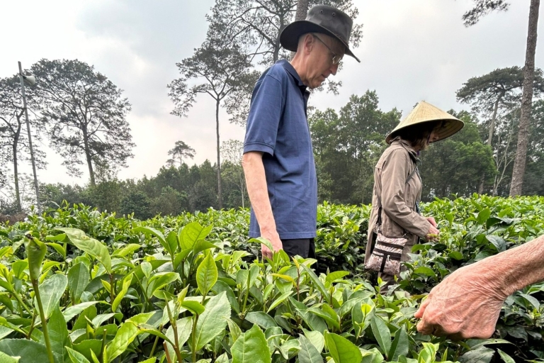 Hanoi Eco Tour: Cuda Parku Narodowego Ba Vi i plantacja herbatyWycieczka prywatna