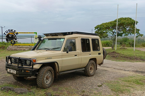 Kampala: 3-Day Queen Elizabeth National Park Safari Tour