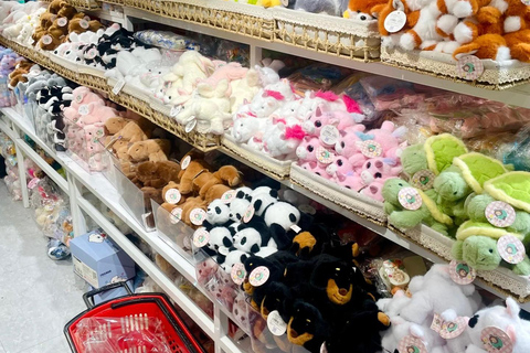 Tour giornaliero personalizzato delle fabbriche e dei mercati all&#039;ingrosso di HangzhouGuida per spagnolo, francese, russo, giapponese o coreano