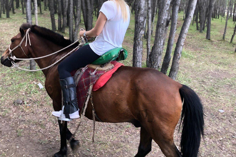 Horseback Riding Tour to Turtle Rock & Aryabal Brief Introduction to Mongol Horse
