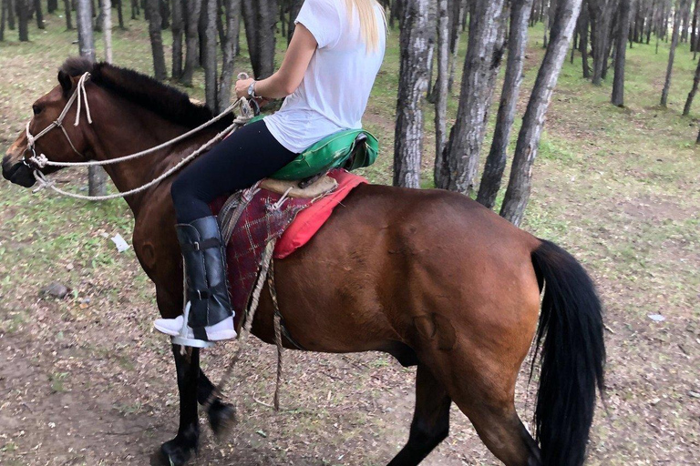 Horseback Riding Tour to Turtle Rock & Aryabal Brief Introduction to Mongol Horse
