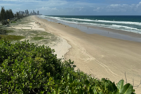 Brisbane: Gold Coast Day Trip with Burleigh Heads
