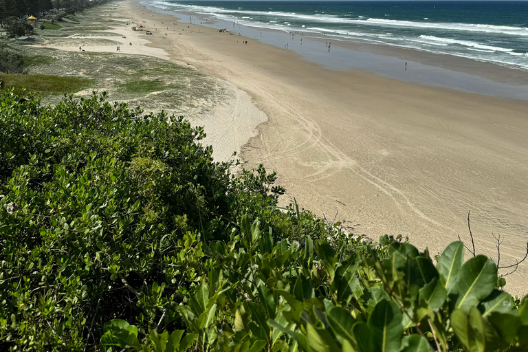 Brisbane: Gold Coast Day Trip with Burleigh Heads