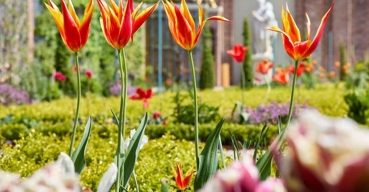 Afbeelding 31 van Apeldoorn: toegangsbewijs voor Koninklijk Paleis 'Het Loo'