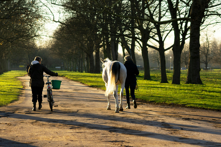 Windsor: Royal Horseback Ride Through Great Park & Deer Park