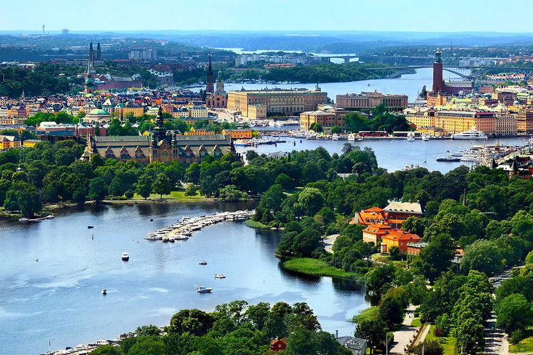 Visite d&#039;une demi-journée de Stockholm en VIP, y compris le musée du bateau Vasa