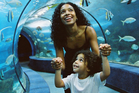 Port Louis: Odysseo Oceanarium Mauritius Ticket