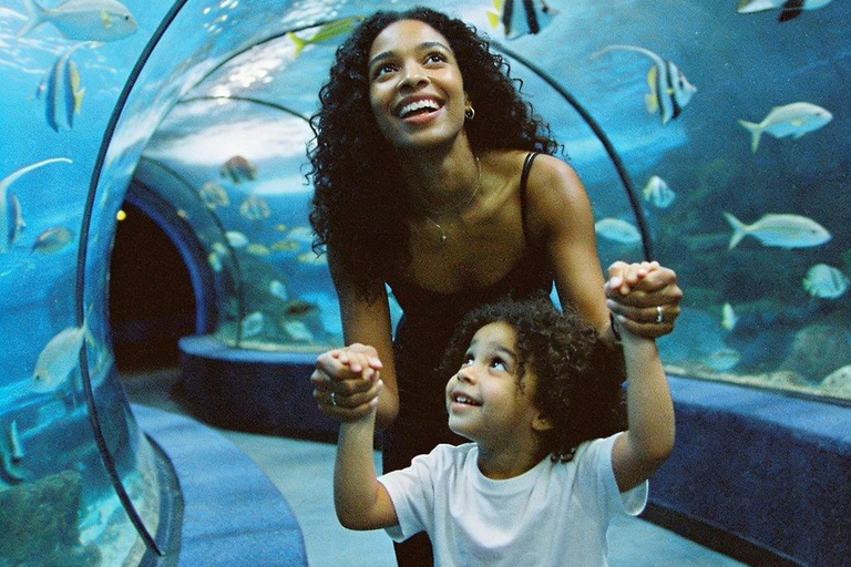 Port Louis: Odysseo Oceanarium Mauritius Ticket