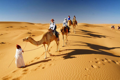 Safari nel deserto di un giorno intero con cena barbecue