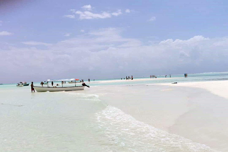 Zanzibar: Snorkeling sull&#039;isola di Mnemba e avventura con i delfini