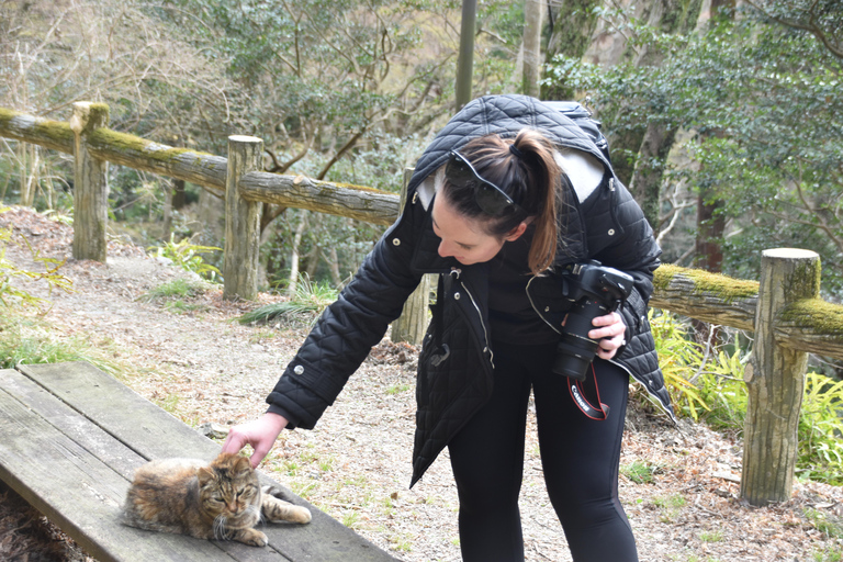 Marche dans la forêt de Mino à Osaka et chute d&#039;eau géante avec déjeuner local