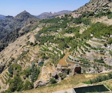 Ganztagesausflug in Jabal Akhdar mit einer leichten Wanderung