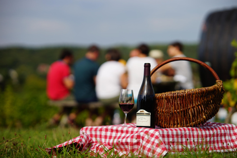 Tour di un giorno con pranzo in cantina: Vouvray&amp;Chinon