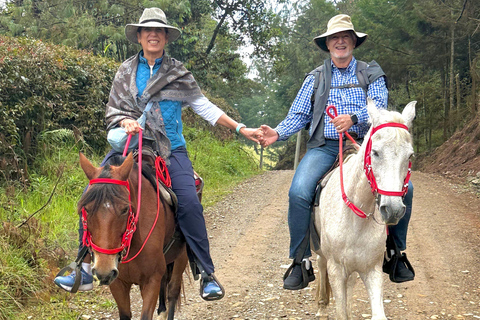 2-hour horseback riding + Private transportation + Photos & videos + Gift for the first 5 to book 2-hour horseback ride + private transportation + photos & videos + gift for the first 5 to book.