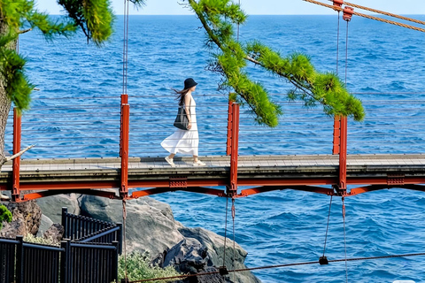 Small Group Day Tour:Omuro Mountain & the Izu Scenic Railway Hotel Transfer Option