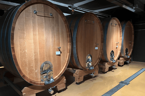 Luxembourg: Moselle Wine & Beaufort Castle Private Day Tour