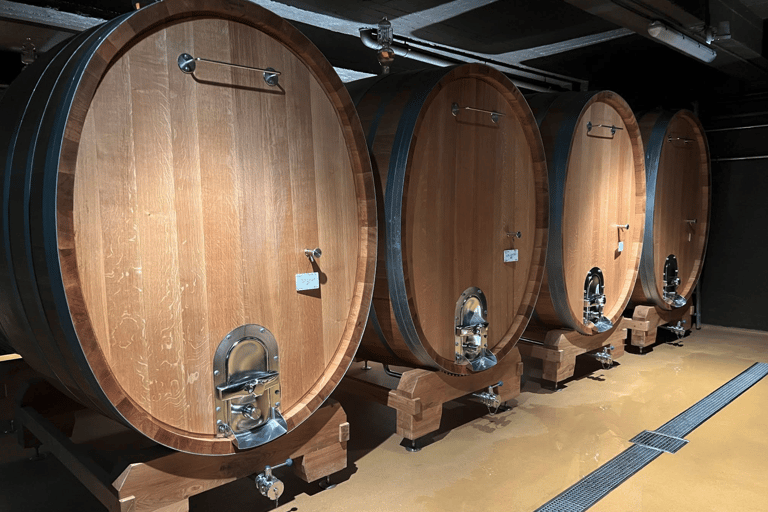 Luxembourg: Moselle Wine & Beaufort Castle Private Day Tour