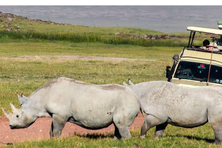 Majestic landscapes: A 5day Safari Adventure