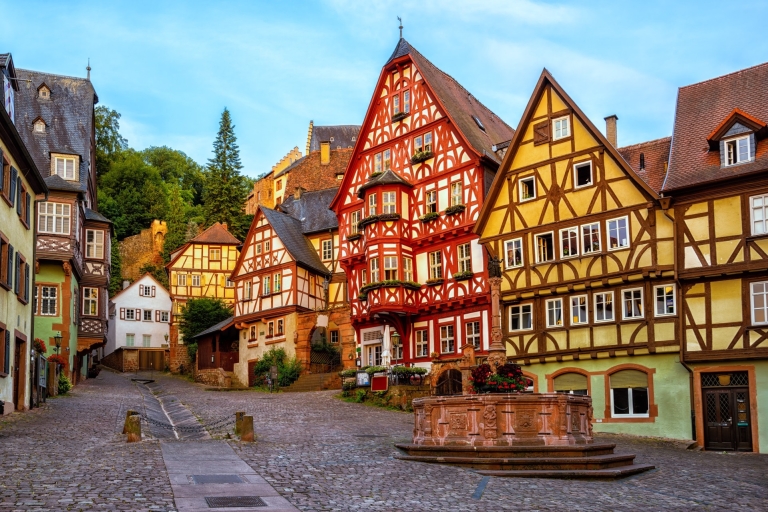 Cologne: Frankfurt Old Town 1-Day Private Tour by Train 7,5 hours: Tour to Frankfurt by train with Guide whole day