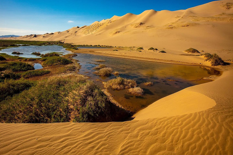 6 day Great Gobi tour Mongolia