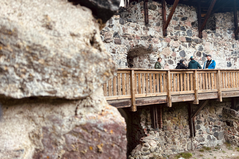 Da Helsinki: Rovine del castello di Raasepori e centro storico di Ekenäs