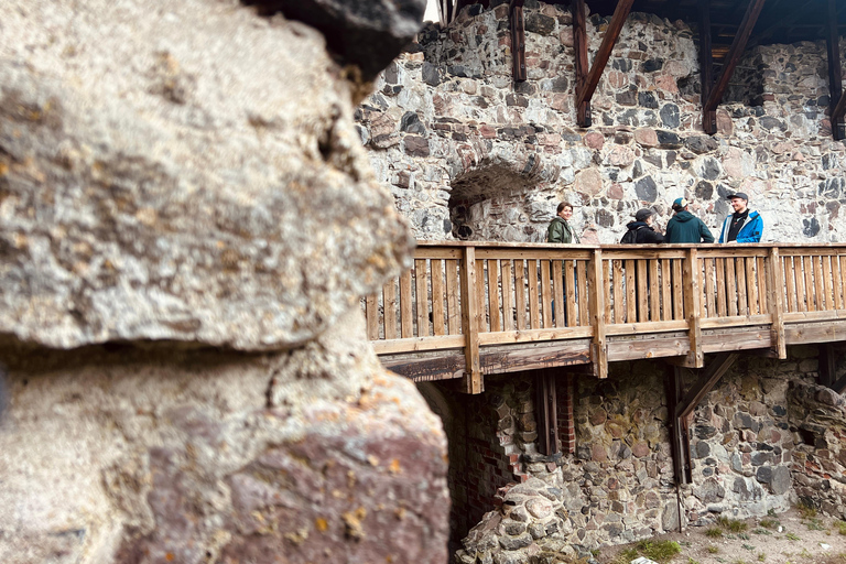 Da Helsinki: Rovine del castello di Raasepori e centro storico di Ekenäs