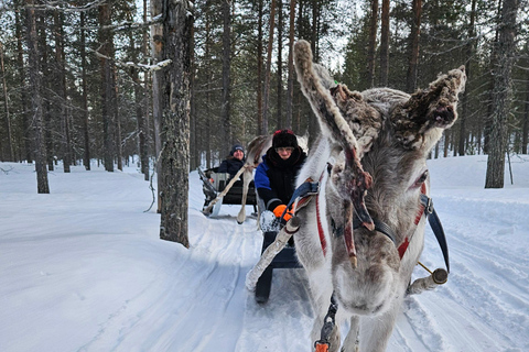 Saariselkä : Reindeer Sleigh Ride with Snacks & Hot Drink