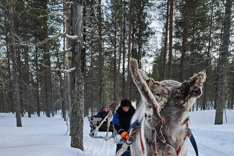 Saariselkä : Reindeer Sleigh Ride with Snacks & Hot Drink