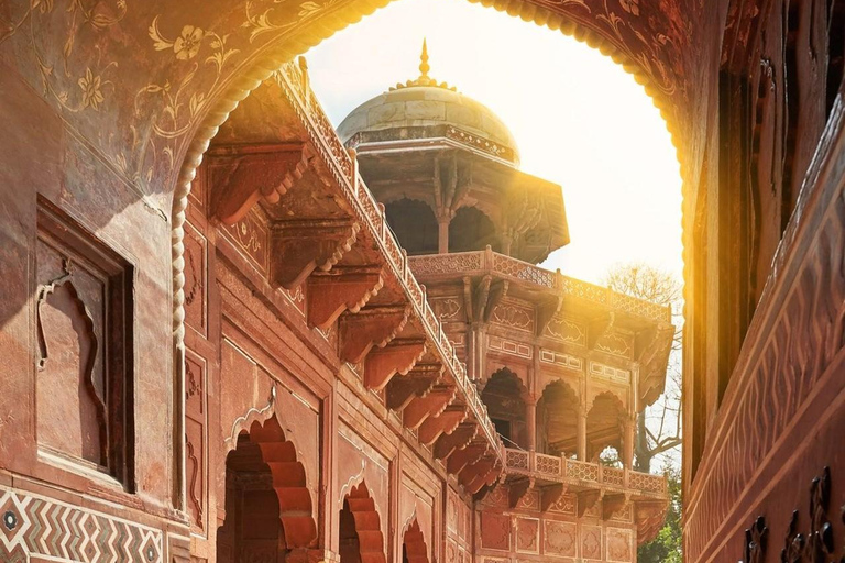 La experiencia completa de Delhi: tour de día completo en coche