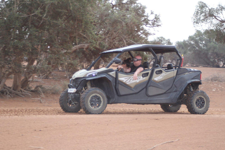 Agadir: Family 4-Seater Buggy Forest Safari