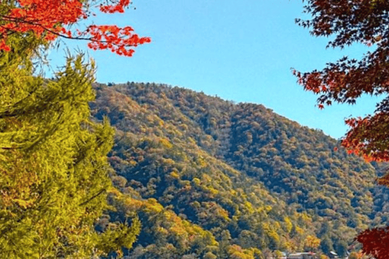 Depuis Tokyo : Excursion privée d&#039;une journée à Nikko, site du patrimoine mondial