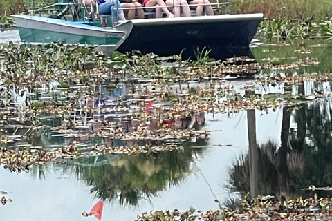 Kissimmee: Excursión en hidrodeslizador por los Everglades con caimanes y fauna salvaje